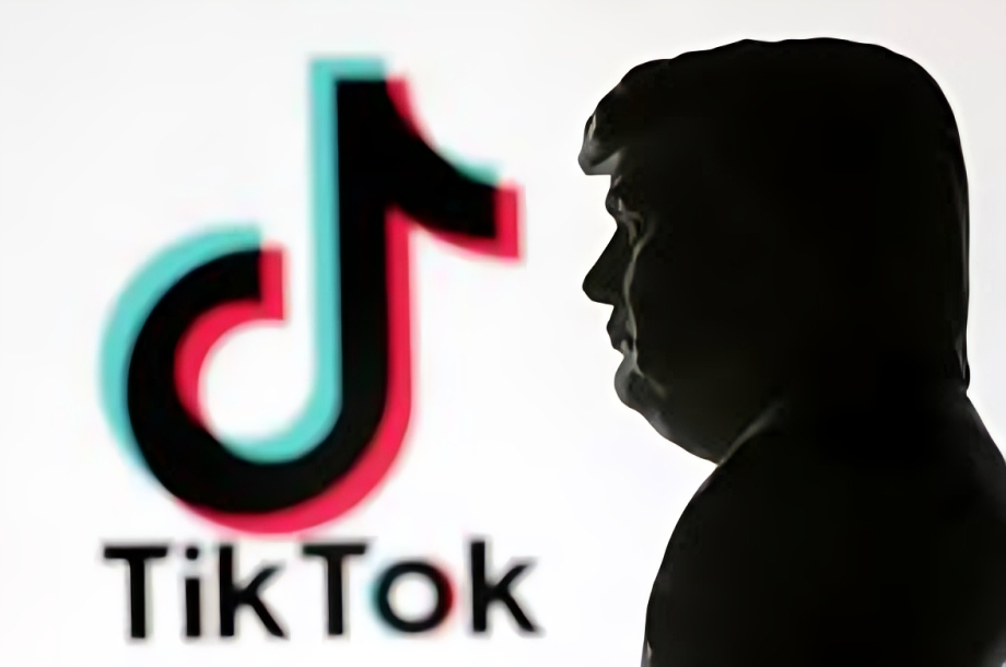 TikTok banned